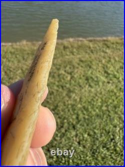 Rare GEM Novaculite Native American Paleo Dalton Arrowhead Artifact Double COA