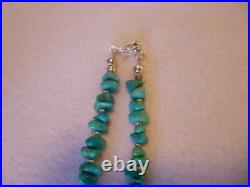 Rare Genuine Sleeping Beauty Turquoise Pendant And Native American Necklace