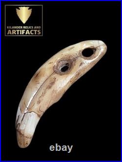 Rare Glovers Cave Double Drilled Canine / Ex Vietzen