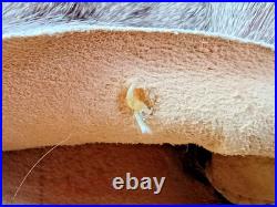 Rare Hand-made Taos Native American Whitetail Deer Medicine Man Bag Exquisite