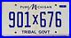 Rare-Indian-Tribe-Tribal-Gov-t-Auto-License-Plate-901-X-676-Native-American-01-plfh