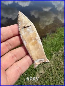 Rare Killer Native American Fluted Paleo Cumberland Point Arrowhead Clovis