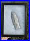 Rare-Large-Mammoth-Native-American-Paleo-Beaver-Lake-Arrowhead-Point-01-xv