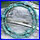 Rare-MCGINNIS-TURQUOISE-Navajo-Bench-Bead-Multi-Shape-Necklace-Sterling-01-cv