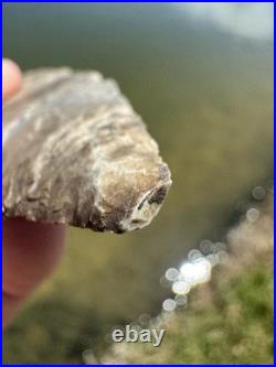 Rare Native American Archaic Expanding Stemmed Benton Blade Arrowhead Point
