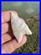 Rare-Native-American-Arkansas-Point-Arrowhead-Dalton-01-cvey