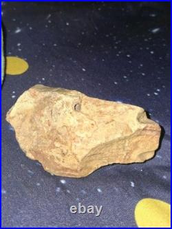Rare Native American Artifact Carved Horse Effigy