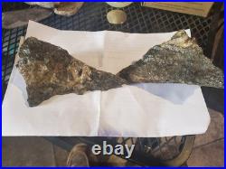 Rare Native American Bird Wolf Coyote Effigies. Very Nice