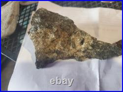 Rare Native American Bird Wolf Coyote Effigies. Very Nice