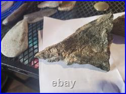 Rare Native American Bird Wolf Coyote Effigies. Very Nice