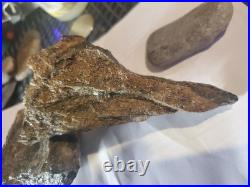 Rare Native American Bird Wolf Coyote Effigies. Very Nice