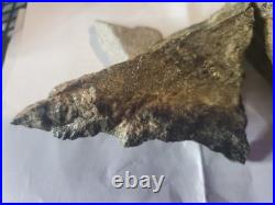 Rare Native American Bird Wolf Coyote Effigies. Very Nice