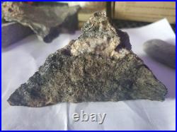 Rare Native American Bird Wolf Coyote Effigies. Very Nice