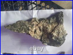 Rare Native American Bird Wolf Coyote Effigies. Very Nice