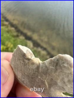 Rare Native American Calf Creek Arrowhead Point