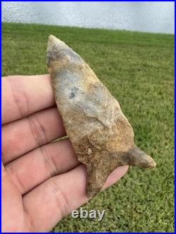 Rare Native American Chipola Arrowhead Point