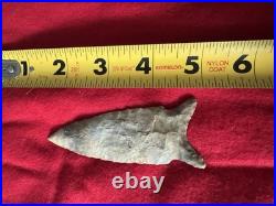 Rare Native American Chipola Arrowhead Point