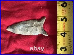 Rare Native American Chipola Arrowhead Point