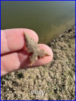 Rare Native American Harrell Texas Arrowhead Point