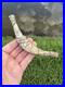 Rare-Native-American-High-Quality-Crescent-Drilled-Bannerstone-01-kqe