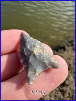 Rare Native American Kentucky Dalton Paleo Arrowhead Point COA
