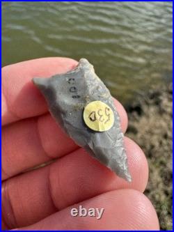 Rare Native American Kentucky Dalton Paleo Arrowhead Point COA