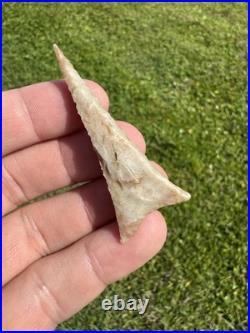 Rare Native American Oklahoma Early Dalton Point Arrowhead