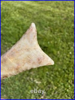 Rare Native American Oklahoma Early Dalton Point Arrowhead