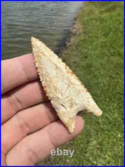 Rare Native American Paleo Archaic Dalton Point Arrowhead