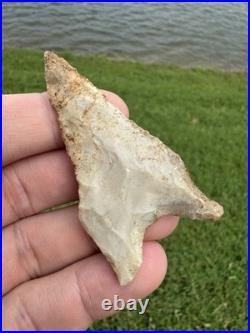 Rare Native American Paleo Archaic Dalton Point Arrowhead