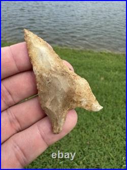 Rare Native American Paleo Archaic Dalton Point Arrowhead