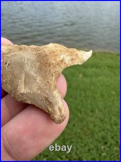 Rare Native American Paleo Archaic Dalton Point Arrowhead