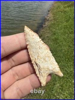 Rare Native American Paleo Archaic Dalton Point Arrowhead