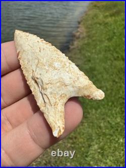 Rare Native American Paleo Archaic Dalton Point Arrowhead