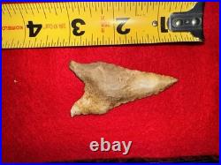 Rare Native American Paleo Archaic Dalton Point Arrowhead