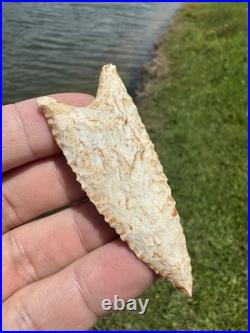 Rare Native American Paleo Archaic Dalton Point Arrowhead