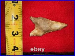 Rare Native American Paleo Archaic Dalton Point Arrowhead