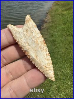 Rare Native American Paleo Archaic Dalton Point Arrowhead