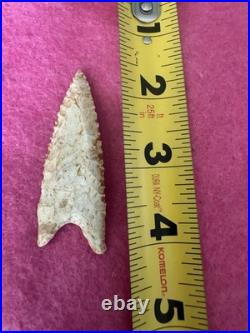 Rare Native American Paleo Archaic Dalton Point Arrowhead