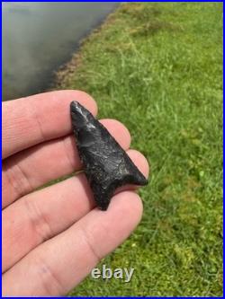 Rare Native American Paleo Archaic Early Dalton Point Arrowhead