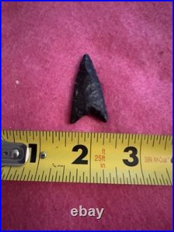 Rare Native American Paleo Archaic Early Dalton Point Arrowhead