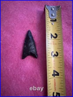 Rare Native American Paleo Archaic Early Dalton Point Arrowhead