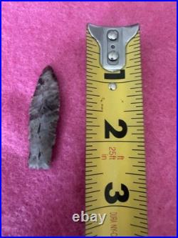 Rare Native American Paleo Eden Point Arrowhead
