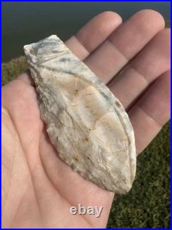 Rare Native American Paleo He'll Gap Arrowhead Point