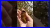 Rare-Native-American-Pipe-Found-While-Walking-The-Creek-01-omk