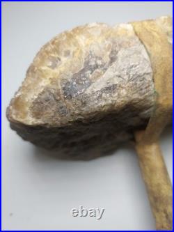 Rare Native American Stone Geode Head War Club Rawhide Leather Wrapped 22 Long