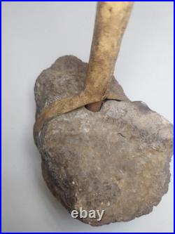 Rare Native American Stone Geode Head War Club Rawhide Leather Wrapped 22 Long