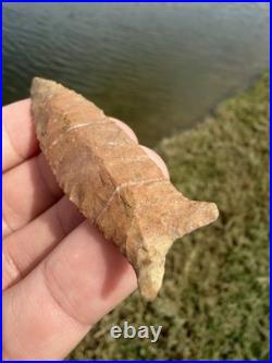 Rare Native American Tennessee Beaver Lake Arrowhead Point COA