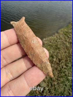 Rare Native American Tennessee Beaver Lake Arrowhead Point COA