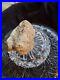 Rare-Native-American-portable-rock-art-01-lhpi